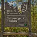 Wanderung in der Welterberegion Wartburg Hainich - Betteleichenpfad - <a href="https://wanderstruck.de">© Michael Stollmann</a> Nationalpark Hainich - © Michael Stollmann