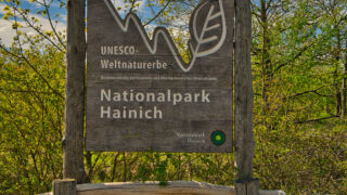 Nationalpark Hainich - © Michael Stollmann