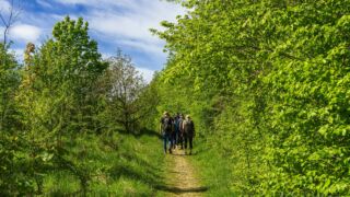 schmale Pfade - © Michael Stollmann