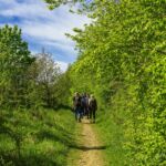 Wanderung in der Welterberegion Wartburg Hainich - Betteleichenpfad - <a href="https://wanderstruck.de">© Michael Stollmann</a> schmale Pfade - © Michael Stollmann