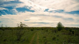 naturbelassene Wege - © Michael Stollmann