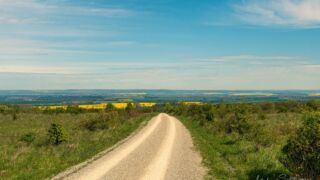 ein Waldhighway - © Michael Stollmann