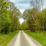 Wanderung in der Welterberegion Wartburg Hainich - Betteleichenpfad - <a href="https://wanderstruck.de">© Michael Stollmann</a> Nationalpark Hainich - © Michael Stollmann