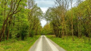 Nationalpark Hainich - © Michael Stollmann