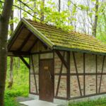 Wanderung in der Welterberegion Wartburg Hainich - Betteleichenpfad - <a href="https://wanderstruck.de">© Michael Stollmann</a> seltener Anblick im Wald - © Michael Stollmann