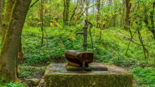 Wasserstelle - © Michael Stollmann