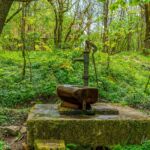 Wanderung in der Welterberegion Wartburg Hainich - Betteleichenpfad - <a href="https://wanderstruck.de">© Michael Stollmann</a> Wasserstelle - © Michael Stollmann