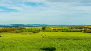 Blick von der Terasse vom Haus Hainich - © Michael Stollmann