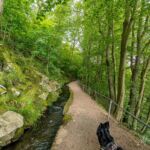 Rundwanderung Trusetal - Bairoda - 13 KM - 2 Touringenstempel - abwechslungsreiche Natur - <a href="https://wanderstruck.de">© Michael Stollmann</a> der Zulauf des Trusetaler Wasserfall - © Michael Stollmann