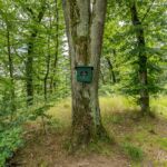 Rundwanderung Trusetal - Bairoda - 13 KM - 2 Touringenstempel - abwechslungsreiche Natur - <a href="https://wanderstruck.de">© Michael Stollmann</a> Stempelstelle 271 - Teufelskanzel - © Michael Stollmann