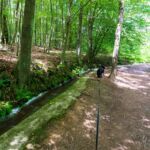 Rundwanderung Trusetal - Bairoda - 13 KM - 2 Touringenstempel - abwechslungsreiche Natur - <a href="https://wanderstruck.de">© Michael Stollmann</a> der Zulauf des Trusetaler Wasserfall - © Michael Stollmann