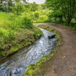 Rundwanderung Trusetal - Bairoda - 13 KM - 2 Touringenstempel - abwechslungsreiche Natur - <a href="https://wanderstruck.de">© Michael Stollmann</a> kleines Bad schadet nicht - © Michael Stollmann