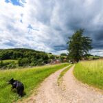 Rundwanderung Trusetal - Bairoda - 13 KM - 2 Touringenstempel - abwechslungsreiche Natur - <a href="https://wanderstruck.de">© Michael Stollmann</a> ziemlich windig hier - © Michael Stollmann
