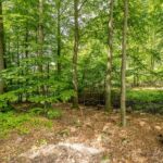 Rundwanderung Trusetal - Bairoda - 13 KM - 2 Touringenstempel - abwechslungsreiche Natur - <a href="https://wanderstruck.de">© Michael Stollmann</a> Rastmöglichkeit mittem im Wald - © Michael Stollmann