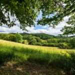 Rundwanderung Trusetal - Bairoda - 13 KM - 2 Touringenstempel - abwechslungsreiche Natur - <a href="https://wanderstruck.de">© Michael Stollmann</a> Bank unter Bäumen - © Michael Stollmann