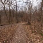 Runde vom Waldkasino vorbei an der Fuchsfarm (Touringenstempel 215, 216, 217) " März 2025 " wanderstruck - <a href="https://wanderstruck.de">© Michael Stollmann</a> das war der letze Aufstieg vor dem Spielplatz - © Michael Stollmann