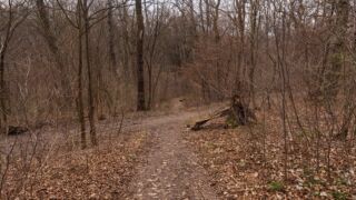 das war der letze Aufstieg vor dem Spielplatz - © Michael Stollmann