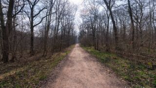 Immer der Sonne entgegen - © Michael Stollmann