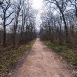 Runde vom Waldkasino vorbei an der Fuchsfarm (Touringenstempel 215, 216, 217) " März 2025 " wanderstruck - <a href="https://wanderstruck.de">© Michael Stollmann</a> Immer der Sonne entgegen - © Michael Stollmann