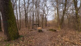 Rastplatz Domblick - © Michael Stollmann