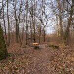 Runde vom Waldkasino vorbei an der Fuchsfarm (Touringenstempel 215, 216, 217) " März 2025 " wanderstruck - <a href="https://wanderstruck.de">© Michael Stollmann</a> Rastplatz Domblick - © Michael Stollmann
