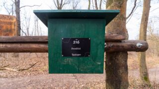 Touringenstempel 216 Domblick - © Michael Stollmann