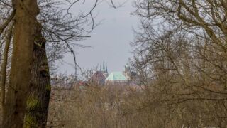 Erfurter Dom und Severi Kirche - © Michael Stollmann