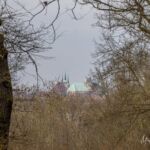 Runde vom Waldkasino vorbei an der Fuchsfarm (Touringenstempel 215, 216, 217) " März 2025 " wanderstruck - <a href="https://wanderstruck.de">© Michael Stollmann</a> Erfurter Dom und Severi Kirche - © Michael Stollmann