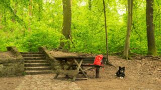 Pause - © Michael Stollmann