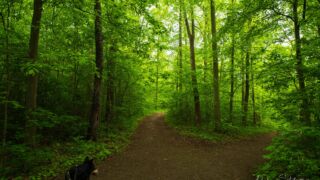 welcher Weg wird der Richtige sein? - © Michael Stollmann