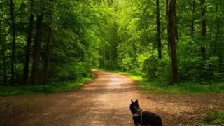 Erfurt Steiger " Mai 2023 - © Michael Stollmann