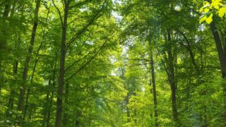 Erfurt Steiger " Mai 2023 - © Michael Stollmann