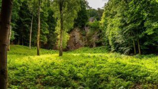 Rätselwanderung unterhalb der Wartburg - © Michael Stollmann