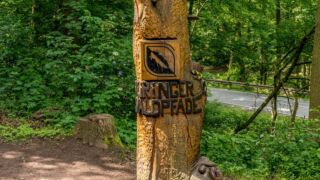 Rätselwanderung unterhalb der Wartburg - © Michael Stollmann