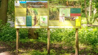 Rätselwanderung unterhalb der Wartburg - © Michael Stollmann