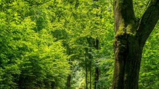 Rätselwanderung unterhalb der Wartburg - © Michael Stollmann