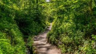 Rätselwanderung unterhalb der Wartburg - © Michael Stollmann