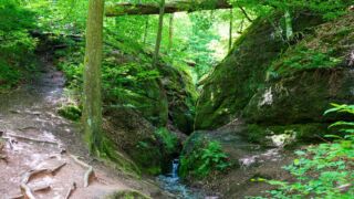 Rätselwanderung unterhalb der Wartburg - © Michael Stollmann