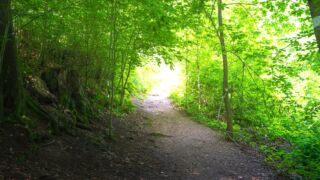 Rätselwanderung unterhalb der Wartburg - © Michael Stollmann