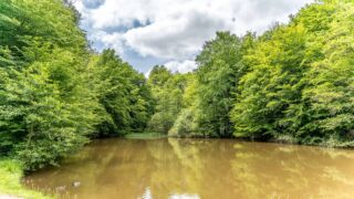 Rätselwanderung unterhalb der Wartburg - © Michael Stollmann
