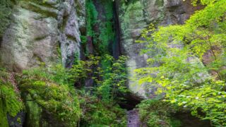 Rätselwanderung unterhalb der Wartburg - © Michael Stollmann