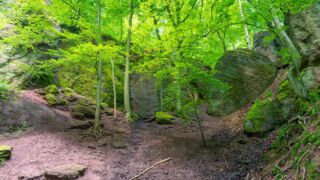 Rätselwanderung unterhalb der Wartburg - © Michael Stollmann