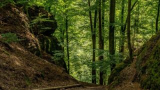 Rätselwanderung unterhalb der Wartburg - © Michael Stollmann