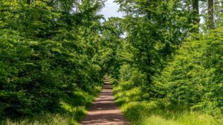 Rätselwanderung unterhalb der Wartburg - © Michael Stollmann