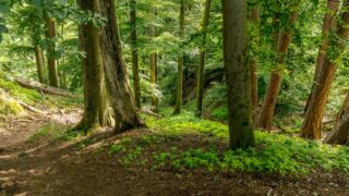 Rätselwanderung unterhalb der Wartburg - © Michael Stollmann