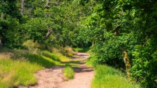 Rätselwanderung unterhalb der Wartburg - © Michael Stollmann