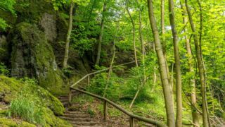 Rätselwanderung unterhalb der Wartburg - © Michael Stollmann
