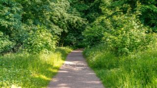 Rätselwanderung unterhalb der Wartburg - © Michael Stollmann