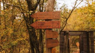 Der Weg ist hier sehr gut ausgeschildert. - <a href="https://wanderstruck.de">© Michael Stollmann</a> Huenenteich Wanderung - © Michael Stollmann