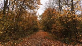 - <a href="https://wanderstruck.de">© Michael Stollmann</a> Huenenteich Wanderung - © Michael Stollmann